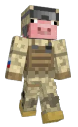 Minecraft skin — Classic model