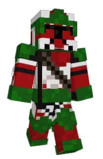 Front of MATEILEGO's skin