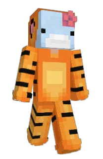 Front of Somelody's skin