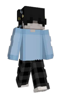 Front of Tr3kvognDK's skin