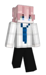 cod gray and gallery Minecraft skin — Classic model