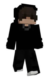 Front of tracksin's skin
