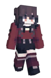 Front of insomosni's skin