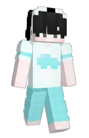 Skin preview