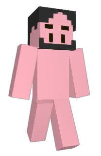 Front of DDos_503's skin