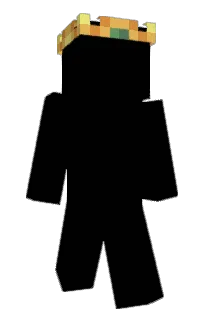 Pjoller's Minecraft skin
