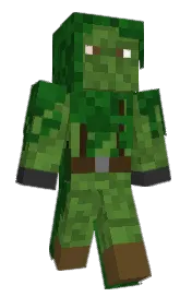 Skin preview