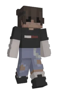Front of 246x's skin