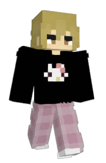 Front of Trimmytron's skin