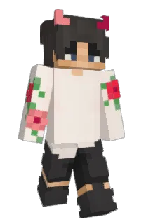 Front of MXM's skin