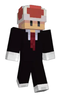 Front of GamerToady's skin