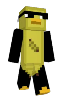 Front of papoga11's skin