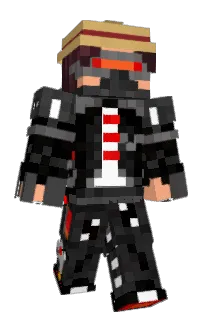 Front of Pobenix's skin