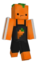 cod gray and blaze orange Minecraft skin — Classic model