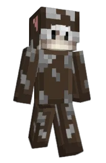 Front of Minecraft skin