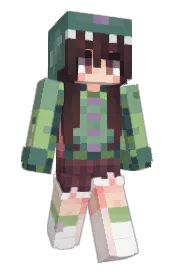 Skin preview