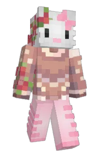 Front of Ciachoz's skin