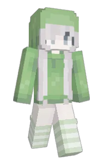 Front of imsck's skin