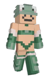 Skin preview