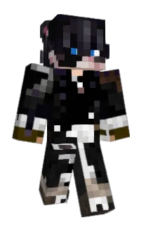 Front of iPacks's skin