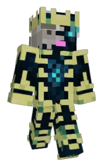 Front of Bemmig's skin