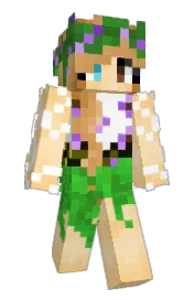 Skin preview