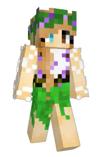 Front of Minecraft skin