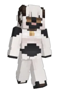Front of NoHopeR's skin