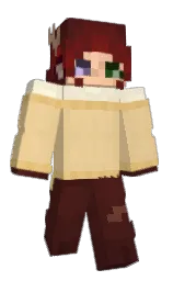 Minecraft skin — Classic model