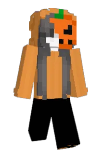 f7y5 Minecraft avatar full body