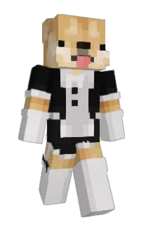DrEng4030's Minecraft skin