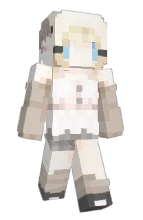 Front of snooket's skin