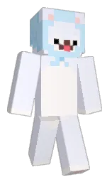 Minecraft skin — Classic model