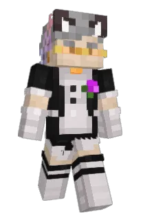 Front of hwtmh's skin