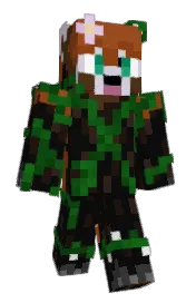 Skin preview