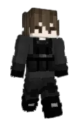 RayFR_