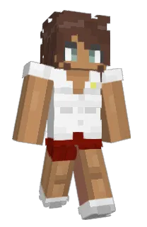 Front of HMRC108's skin