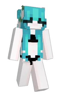 Front of MNmonny's skin