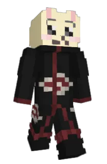 juwon0101's Minecraft skin