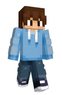 Front of Jaywaler's skin