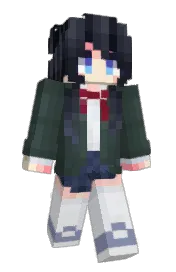 Skin preview