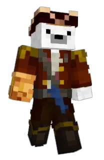 Front of Saajka's skin