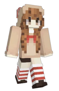 Front of robinap's skin