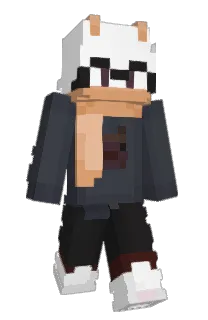 6ZC's Minecraft skin