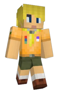 Front of CarFlo's skin