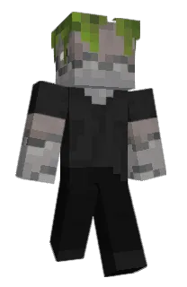 Front of Henriqeh's skin