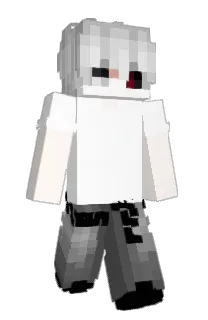 Front of qReiss's skin