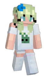 Slim Minecraft skin
