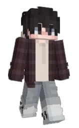 cocoa brown and woody brown Minecraft skin — Classic model — first worn by Plotesian