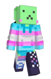 Skin preview